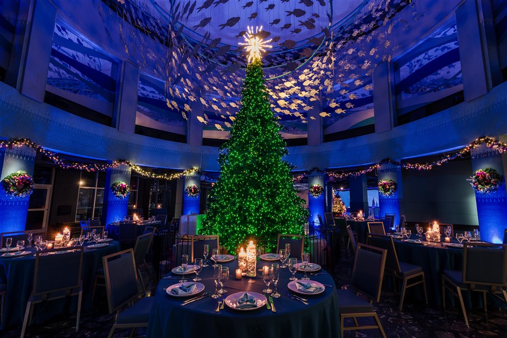 Christmas tree in dimly lit room surrounded by banquet tables